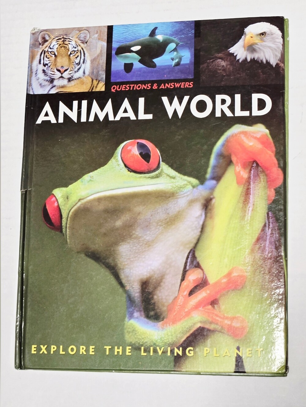 Questions and Answers About Animal World Hardcover Book Capella
